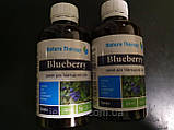 Сироп "Покращення памяті з гінкго білоба", Сироп "Поліпшення пам'яті з гінкго білоба" Джерелія Джерелия, 200 мл, фото 7