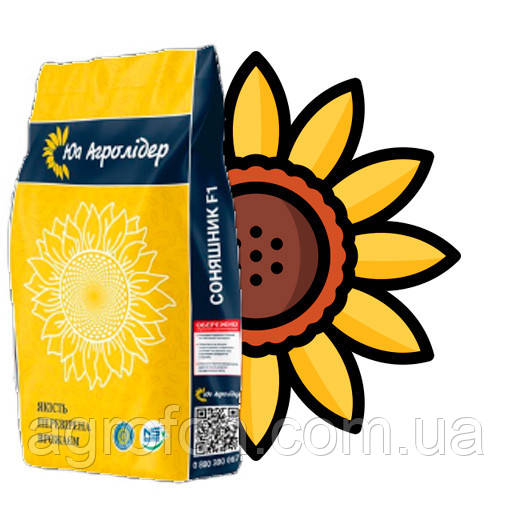 Насіння Соняшнику НСХ 6749 Фракция Стандарт