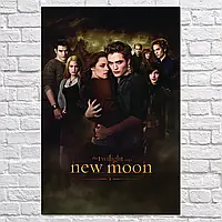 Плакат "Сутінки. Сага. Молодий місяць. Едвард Каллен, Белла Свон, Twilight, New Moon", 60×40см