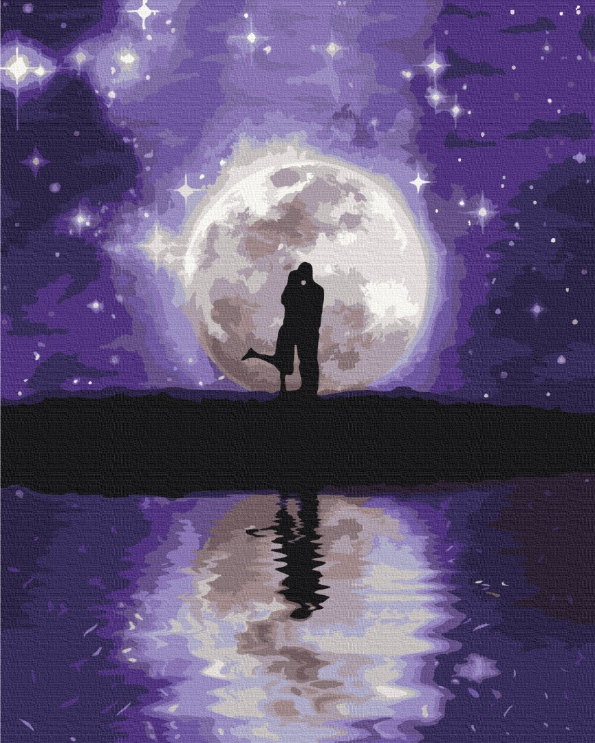 Картина за номерами 40×50. Пара під місяцем Brushme, фото 1