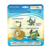 Набір Safari Ltd Життєвий цикл зеленої морської черепахи 662316