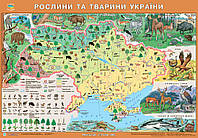 Карта Украины Растения и животные Украины 65х45 см М 1:3 000 000 ламинированный картон