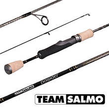 Спінінг Team Salmo POWDER 2-8g 6.5 ft