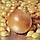 Цибуля сіянка Стурон, 1 кг, жовта середня кругла (BROER), фото 2