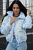 Практична жіноча куртка-пуховик з капюшоном плащівка на утеплювачі модні принти Gsa2526, фото 9