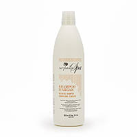 Шампунь для всех типов волос с аргановым маслом - Arganiae Spa Argan Oil Shampoo 1000ml (1098884)