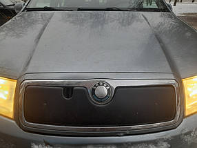 Skoda Fabia 2000-2008 Зимова накладка на решітку глянсова AUC Зимові заглушки Шкода Фабія