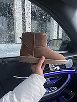 Ugg уги Mini light Cinnamon (лак.п'ята)