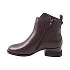 Черевики жіночі Velly баклажанові натуральна шкіра, 40, фото 2