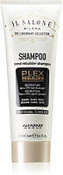 Шампунь-протектор Il Salone Plex для восстановления волос 250мл