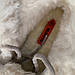 HUMTTO 2023 Жіночі зимові черевики на платформі: стиль і тепло для холодних днів, фото 7