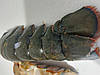 Хвости лобстера (Омара) свіжо-морожені (1кг), фото 10