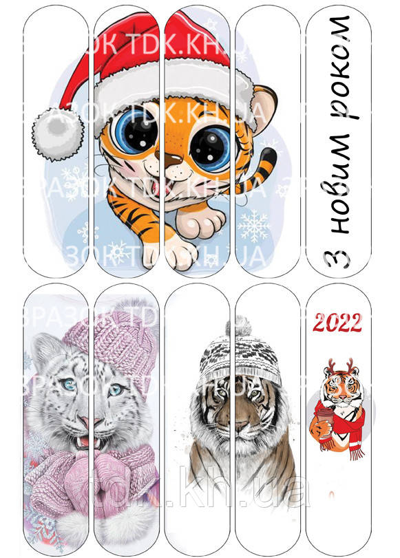 Еклери 019 шокотрансфер