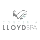 Lloyd Conceria S.P.A.