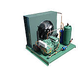 Камера підморожування риби, фото 3