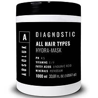 Absoluk Diagnostic All Hair Types Hydra Mask Увлажняющая маска для всех типов волос 1000мл