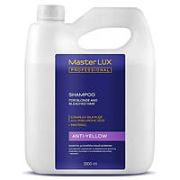 Master LUX Anti-Yellow Shampoo Шампунь для нейтрализации желтизны 3000мл