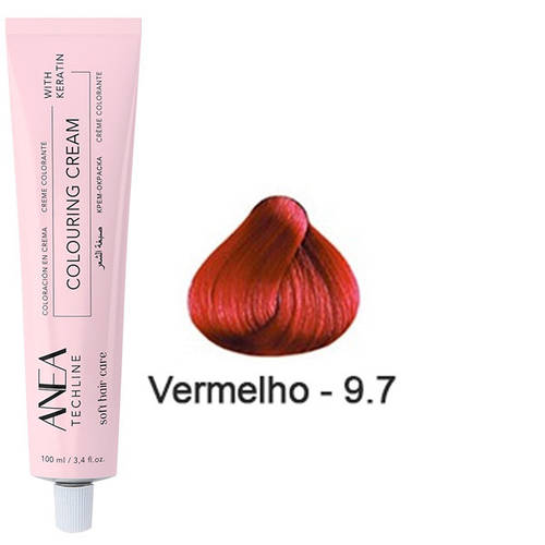 Купить Anea Colouting Cream Стойкая крем-краска для волос 9.7 ...