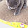 Кігтеточка для кішок картонна 42х20см ганчірка-точилка для кота, дряпалка для котів хвиляста, фото 2