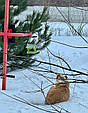 Годівниця для птахів підвісна дерев'яна Кольорова "Фламінго", фото 9