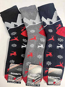 Шкарпетки чоловічі повна махра класичні 27-29 р. (12 пар!) (Зимові) Варос