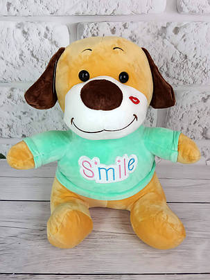 М'яка іграшка з пледом усередині Собачка Smile, руда у м'ятній футболці, фото 1