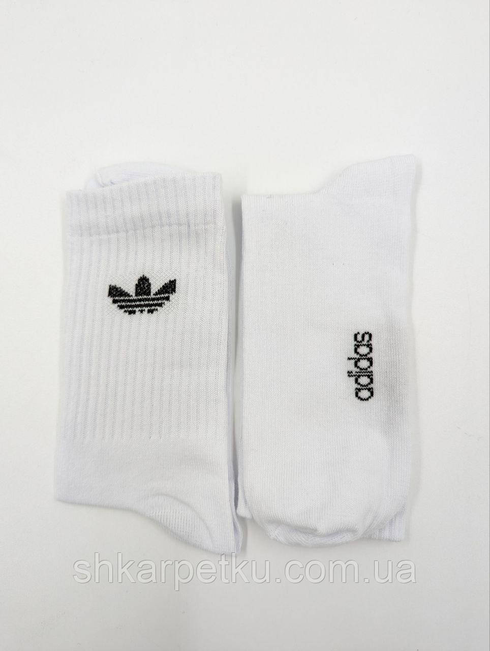 Жіночі спортивні високі демісезонні шкарпетки Емблема А, однотонні стрейчеві, бавовна. Розмір 36-40 12 пар\уп. білі, фото 1