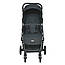 Прогулянкова дитяча коляска EL CAMINO ME 1099 LYRA Onyx, від народження до 3 років, фото 2