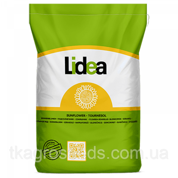 Насіння соняшника Андромеда від Lidea (Euralis)