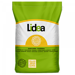 Насіння соняшника Андромеда від  Lidea (Euralis)