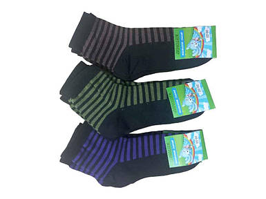 Шкарпетки 12пар дит демі смужка р.18-20 ТМ Житомир FG