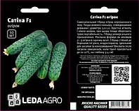 Семена огурца Сатина F1, 50 семян ранний гибрид (38-40 дней), партенокарпик, LEDAAGRO
