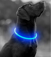 Светящийся LED ошейник с батарейками для собак для вечерних прогулок DogClub M (40-45 см) Синий