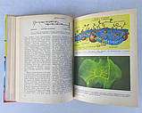 Книга "Школярам про сучасну фізику: Акустика. Теорія відносності. Біофізика" для 8-10 кл. Зарембо Л., фото 7