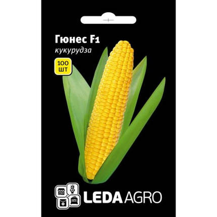 Насіння кукурудзи Гюнес F1, 100 насіння — рання, солодка LEDAAGRO, фото 1