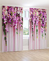 Фото шторы фиолетовые вьющиеся цветы