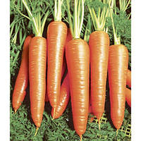 Семена морковки Вита Лонга, 5 г морковь, поздняя LEDAAGRO