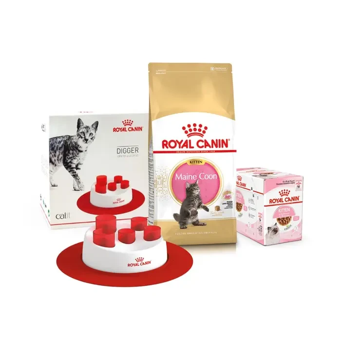Корм для кошенят Royal Canin Maine Coon Kitten 2 кг + pouch 12 шт х 85 г + інтерактивна годівниця