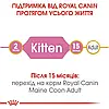 Корм для кошенят Royal Canin Maine Coon Kitten 2 кг + pouch 12 шт х 85 г + інтерактивна годівниця, фото 6