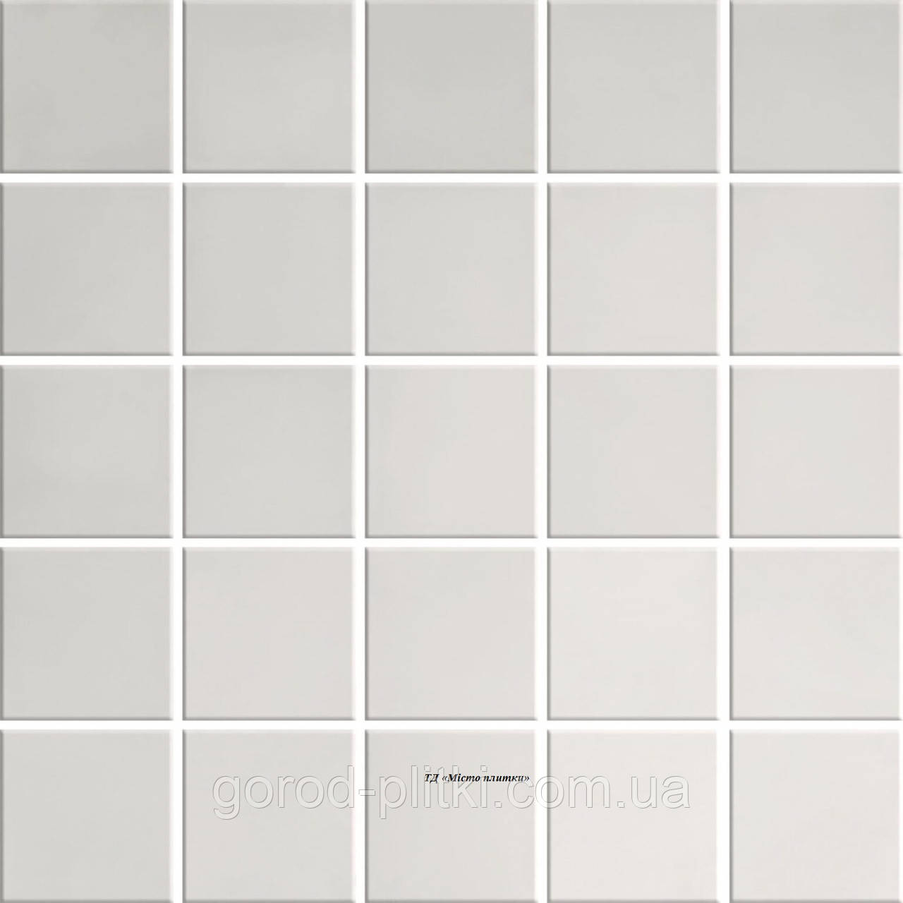 Ceramika Konskie Inox Glossy Mosaic 25х25