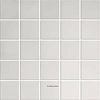 Ceramika Konskie Inox Glossy Mosaic 25х25