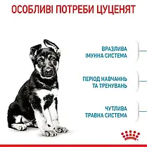 Сухий корм для цуценят Royal Canin Maxi Puppy 12+3 кг - домашня птиця, фото 4
