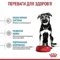 Сухий корм для цуценят Royal Canin Maxi Puppy 12+3 кг - домашня птиця, фото 5