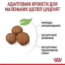 Сухий корм для цуценят Royal Canin Maxi Puppy 12+3 кг - домашня птиця, фото 6