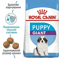 Сухий корм для цуценят Royal Canin Giant Puppy 12+3 кг - домашня птиця, фото 2