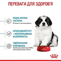Сухий корм для цуценят Royal Canin Giant Puppy 12+3 кг - домашня птиця, фото 3