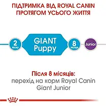 Сухий корм для цуценят Royal Canin Giant Puppy 12+3 кг - домашня птиця, фото 5