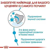 Сухий корм для цуценят Royal Canin Giant Junior 12+3 кг - домашня птиця, фото 5