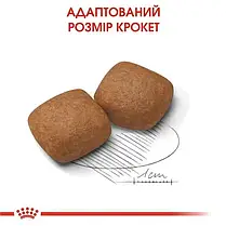 Сухий корм для цуценят Royal Canin Giant Junior 12+3 кг - домашня птиця, фото 6
