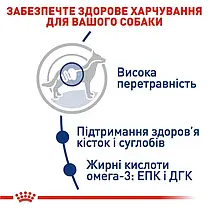 Сухий корм для собак Royal Canin Maxi Adult 15+3 кг - домашня птиця, фото 5